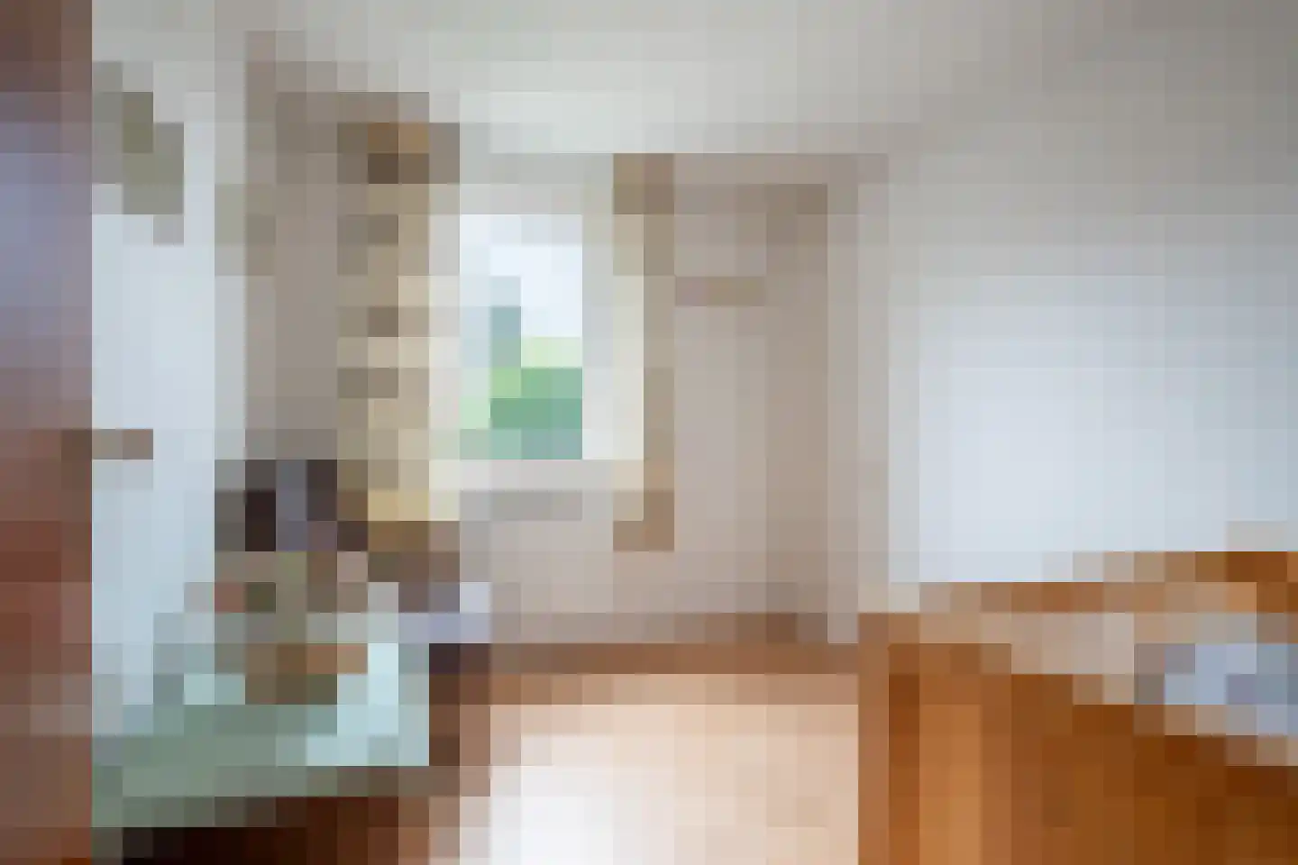 Molenweg 24 Wessem thumbnail 29