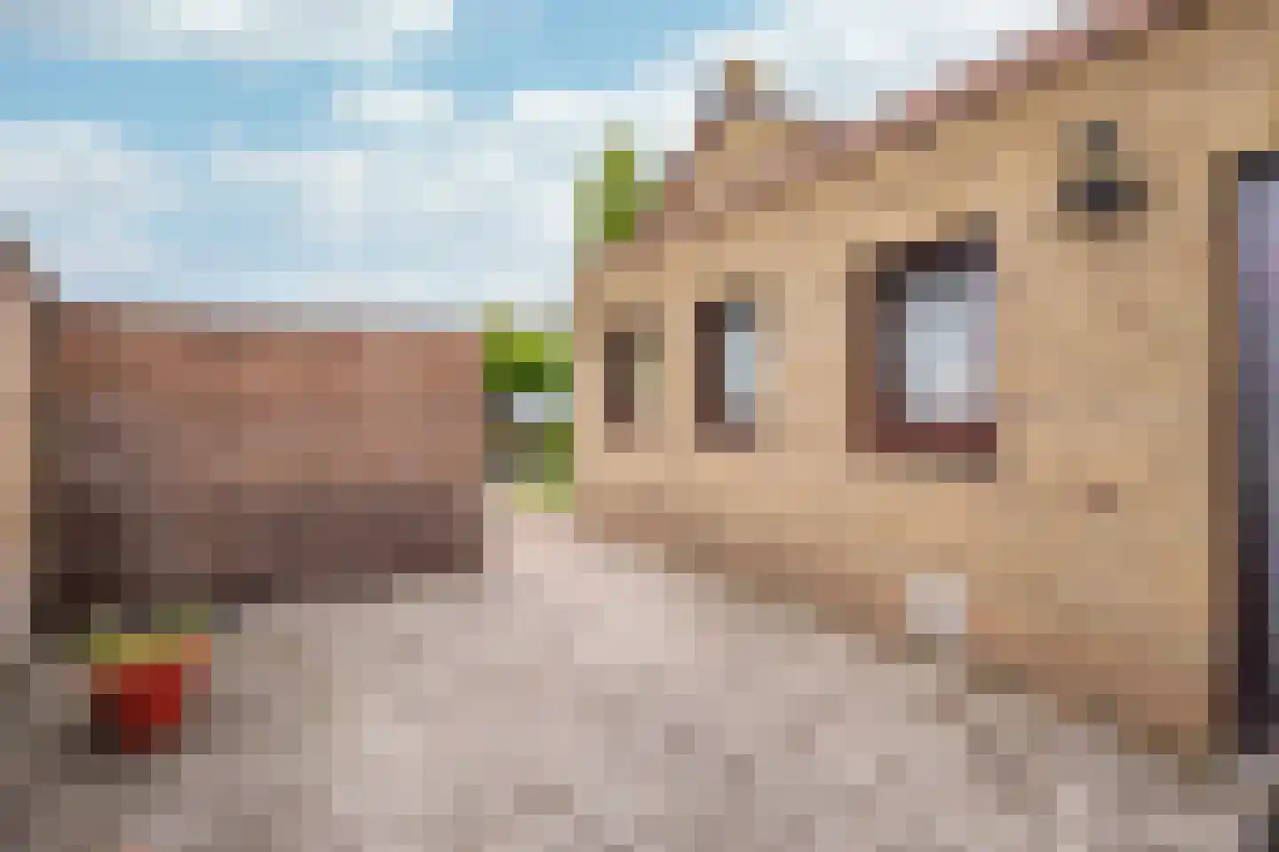 Molenweg 24 Wessem thumbnail 30