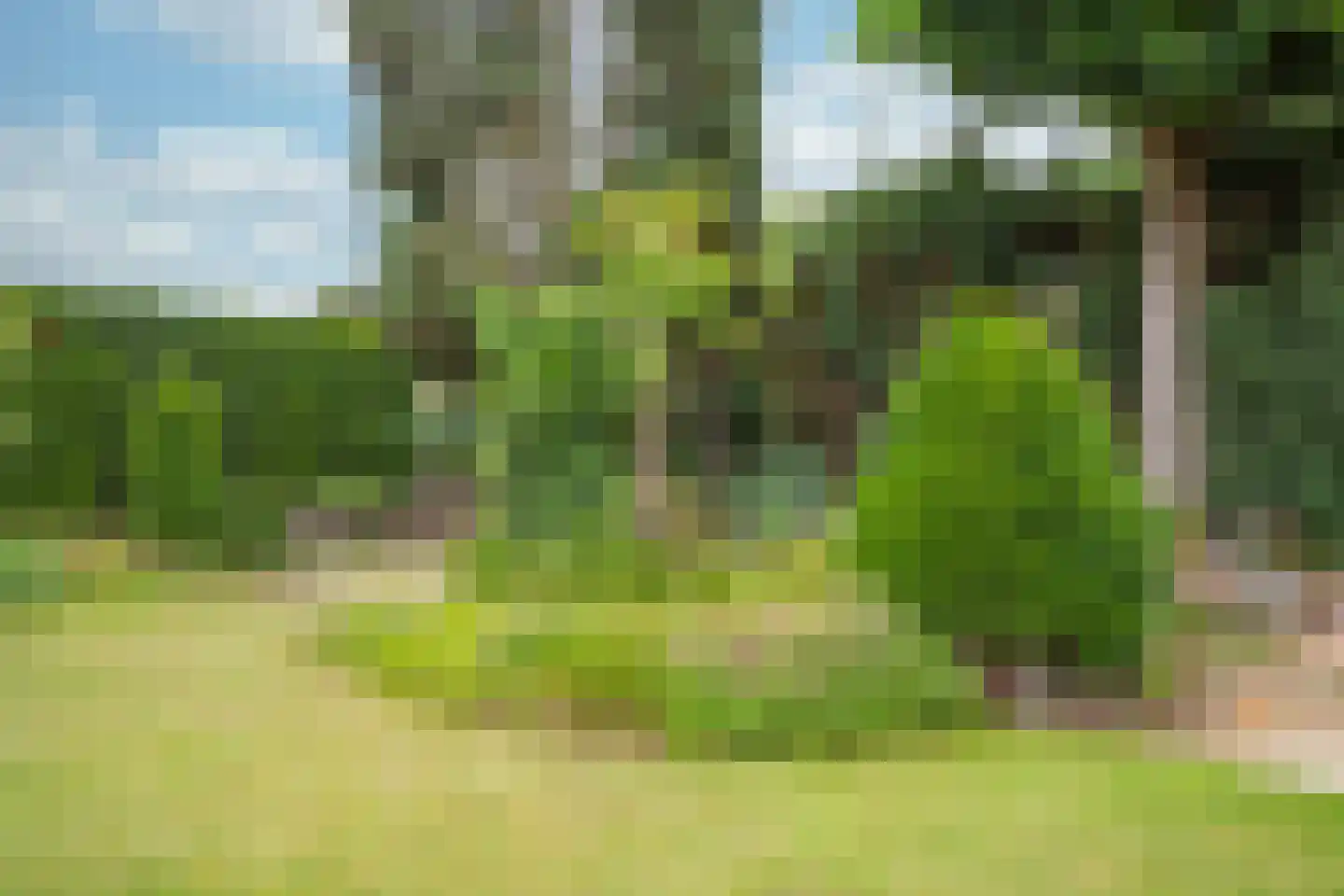 Molenweg 24 Wessem thumbnail 32