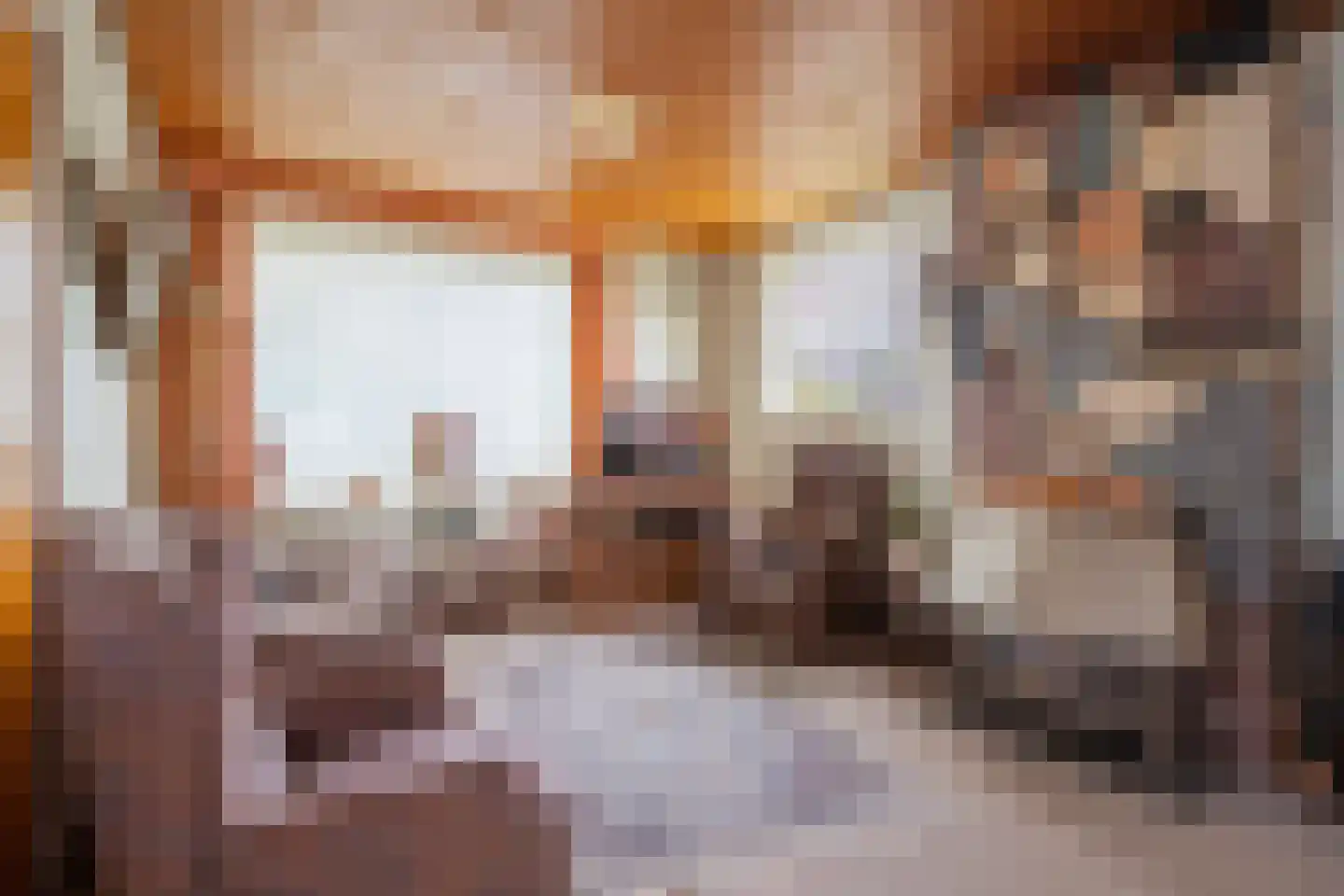Molenweg 24 Wessem thumbnail 8