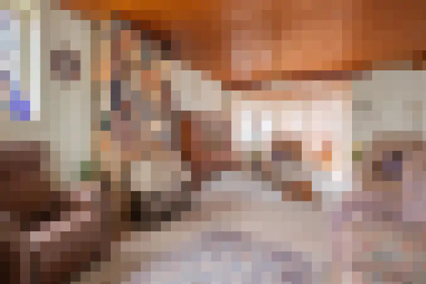 Molenweg 24 Wessem thumbnail 9