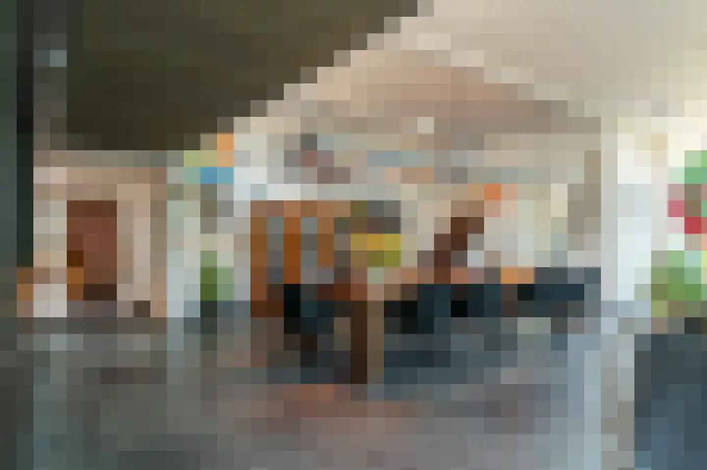 Molenweg 25 A Nieuw- en Sint Joosland thumbnail 16