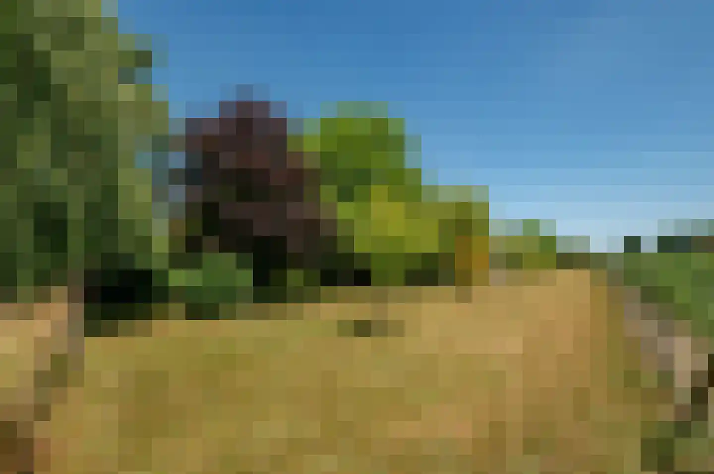 Molenweg 25 A Nieuw- en Sint Joosland thumbnail 29