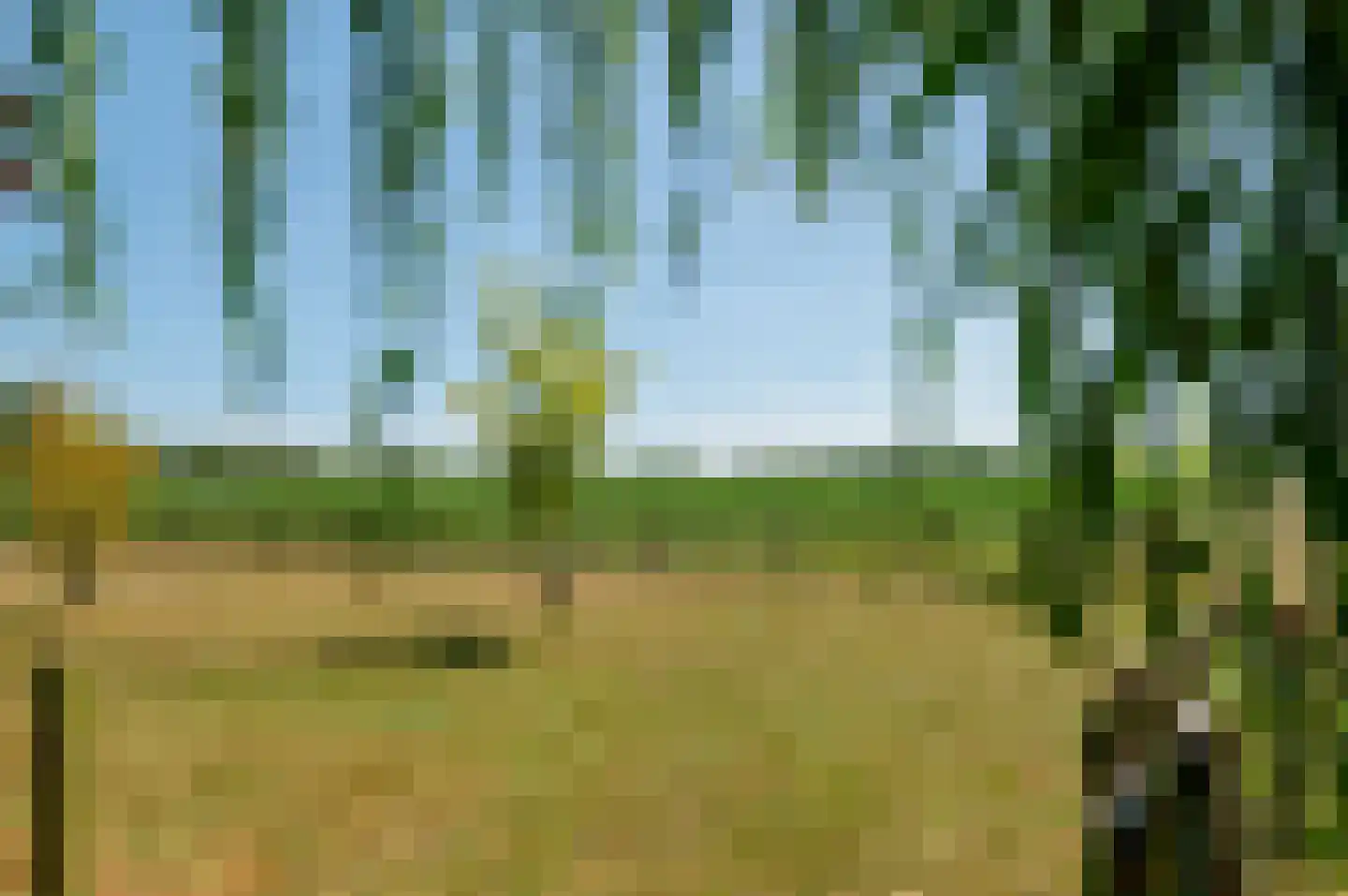 Molenweg 25 A Nieuw- en Sint Joosland thumbnail 30
