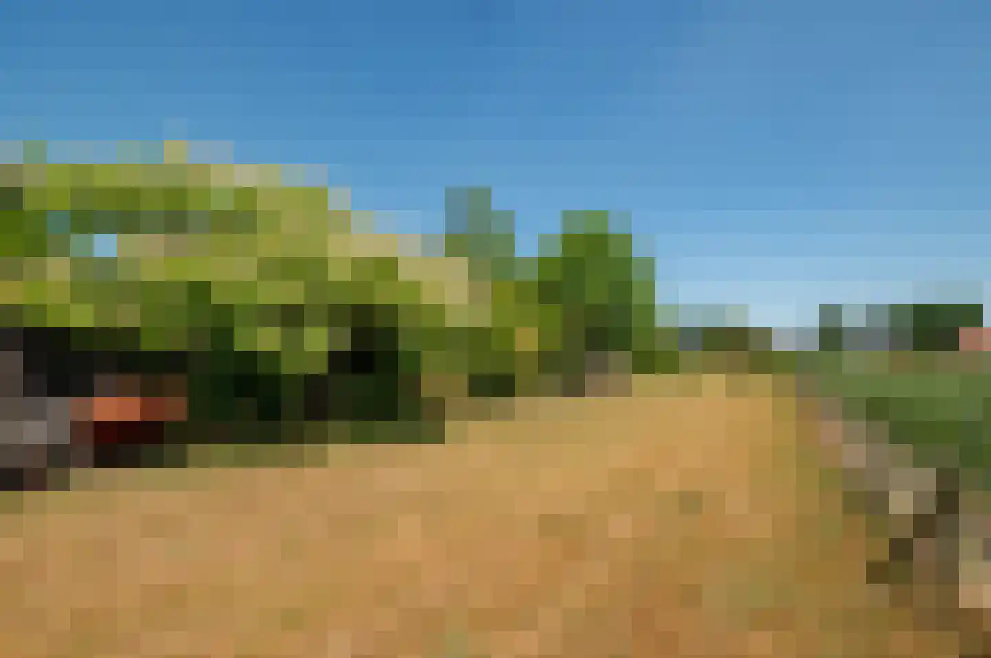 Molenweg 25 A Nieuw- en Sint Joosland thumbnail 33