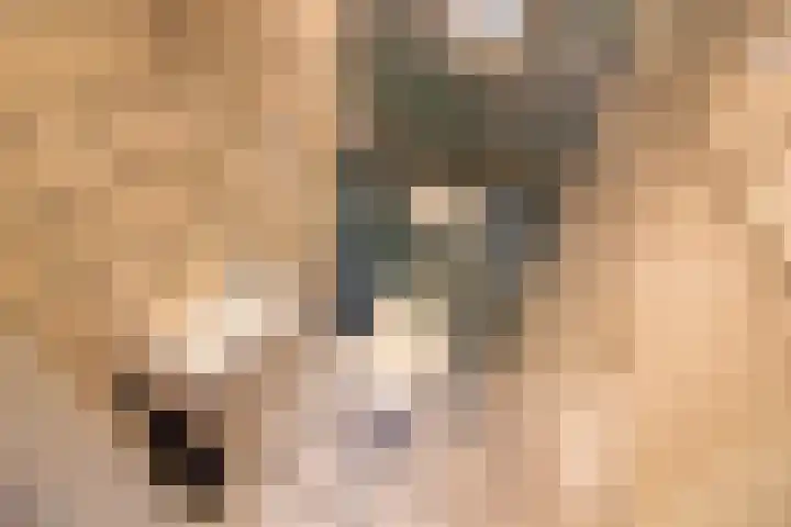 Molenweg 25 Andijk thumbnail 32
