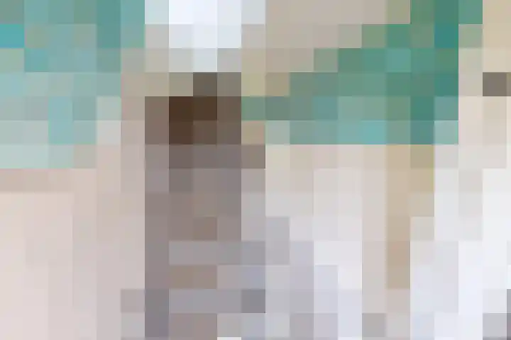 Molenweg 25 Andijk thumbnail 39