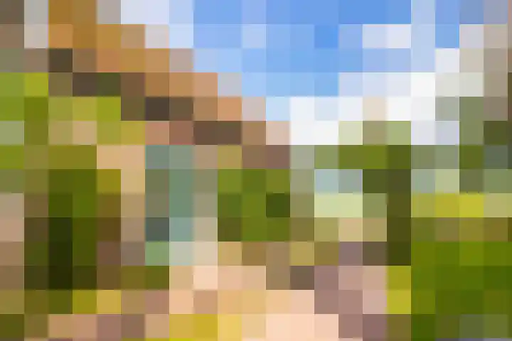 Molenweg 25 Andijk thumbnail 59