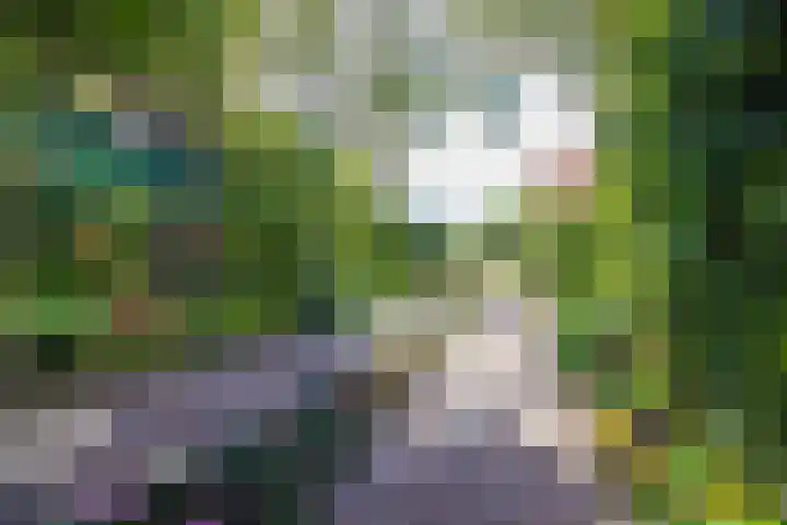 Molenweg 25 Andijk thumbnail 62