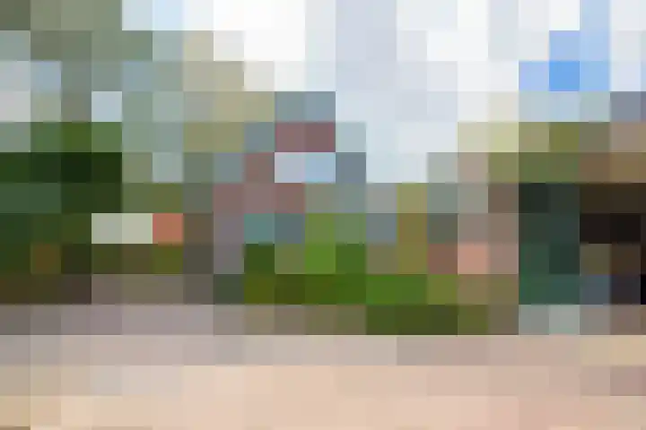 Molenweg 25 Andijk thumbnail 66