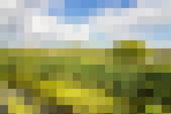 Molenweg 25 Andijk thumbnail 71