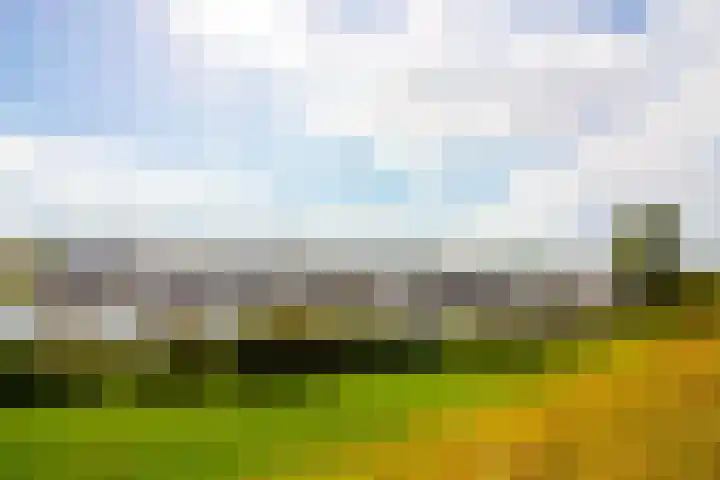 Molenweg 25 Andijk thumbnail 73