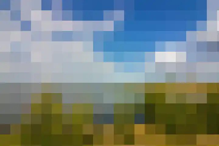 Molenweg 25 Andijk thumbnail 76