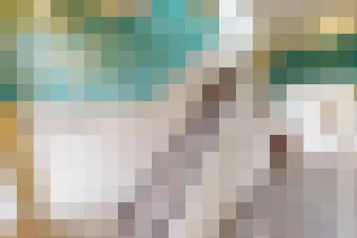 Molenweg 25 Andijk thumbnail 8