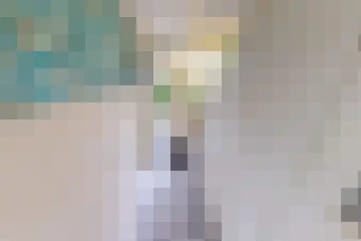 Molenweg 25 Andijk thumbnail 9