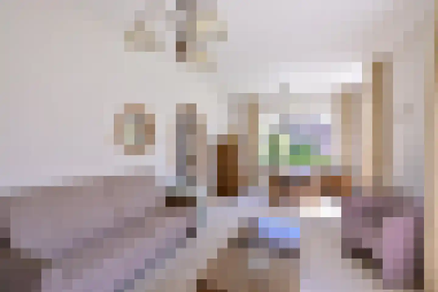 Molenweg 25 Gorssel thumbnail 11