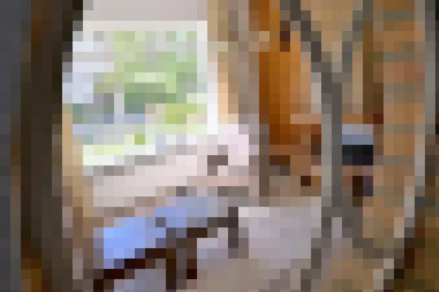 Molenweg 25 Gorssel thumbnail 12