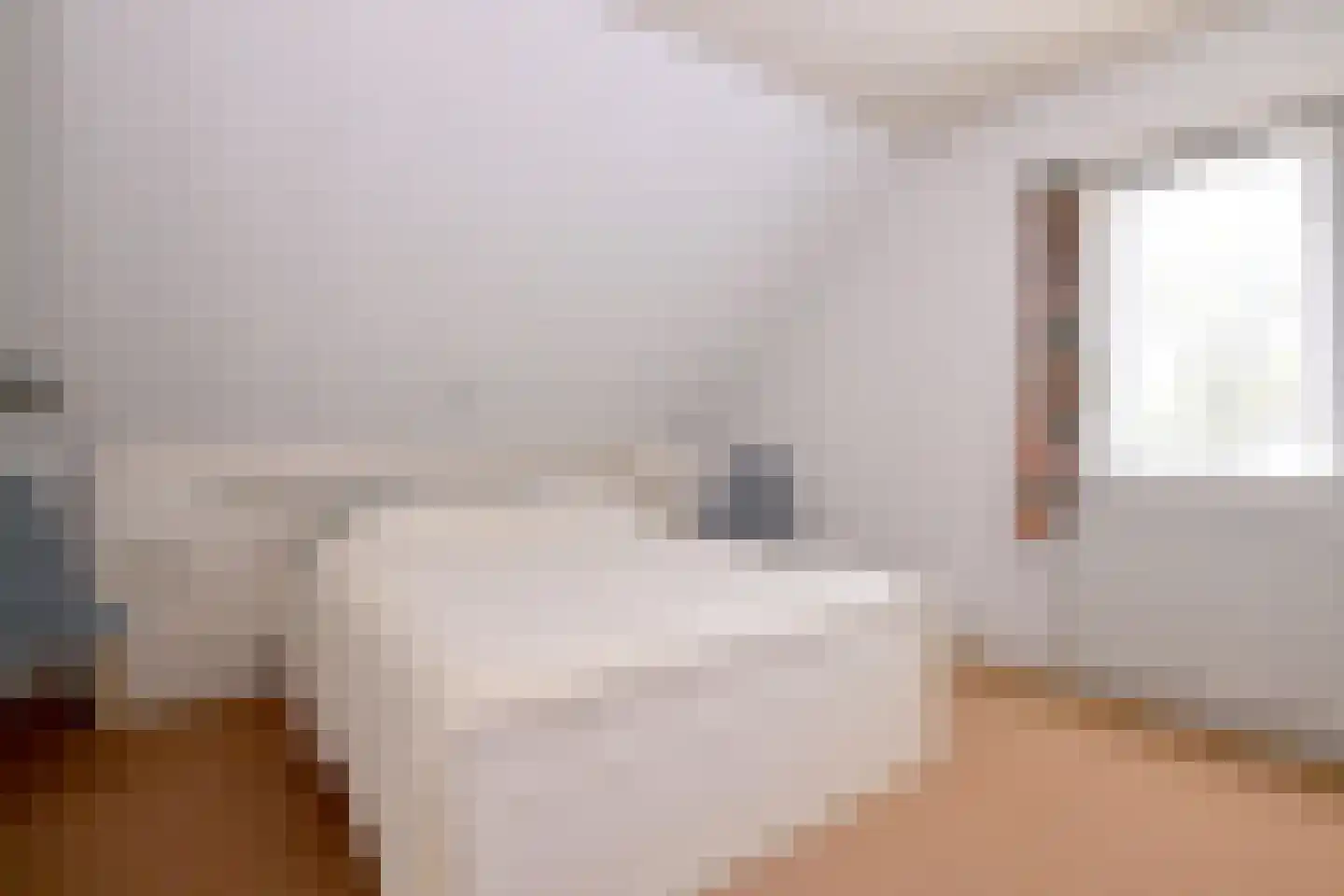 Molenweg 25 Gorssel thumbnail 18
