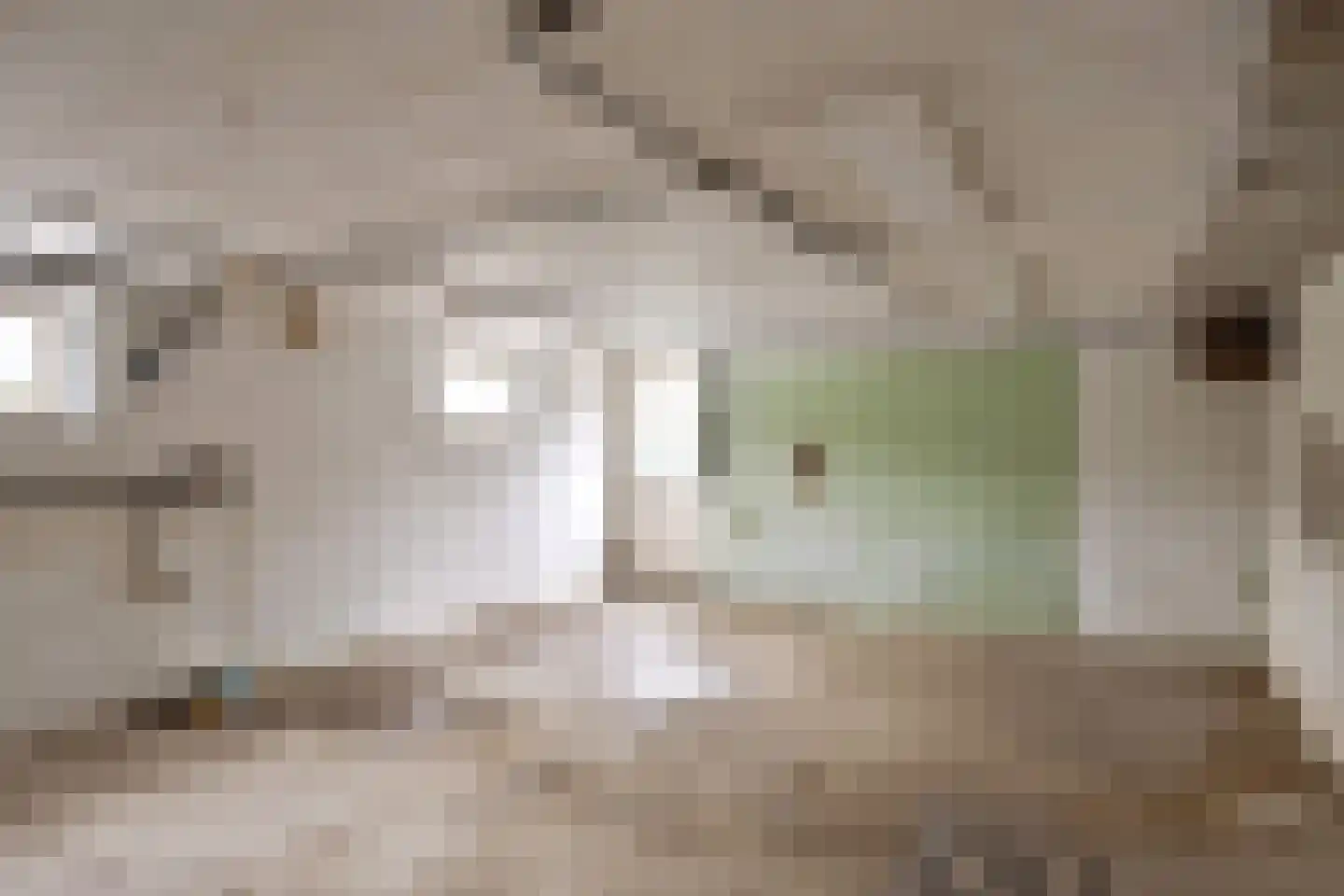 Molenweg 25 Groeningen thumbnail 41