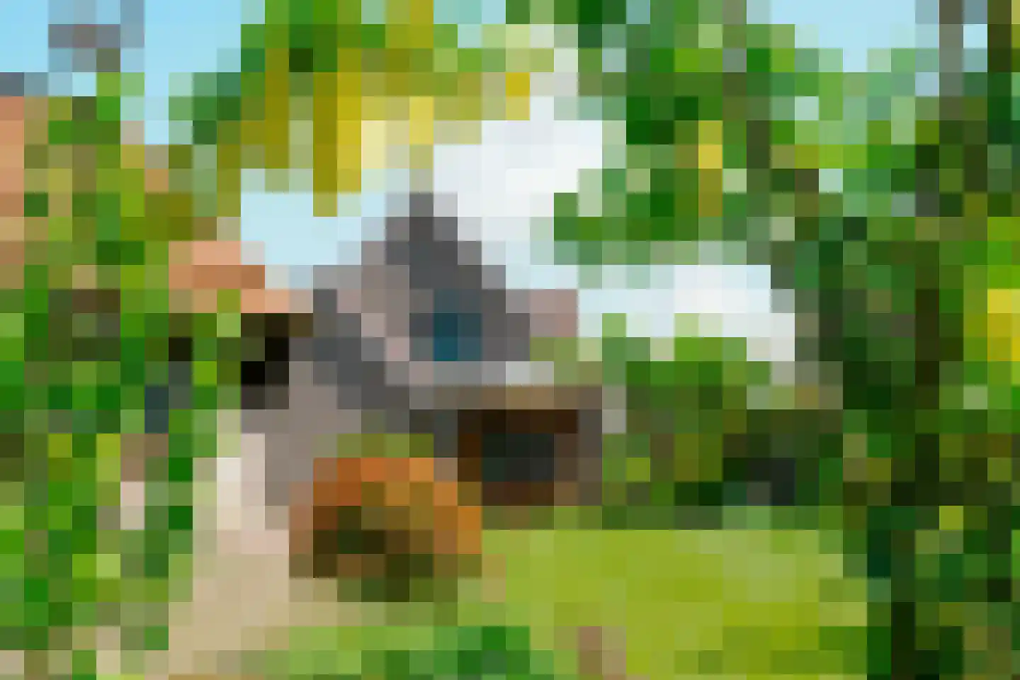 Molenweg 25 Groeningen thumbnail 45