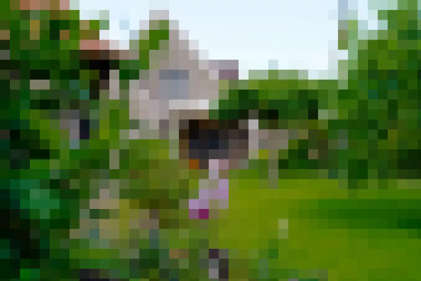 Molenweg 25 Groeningen thumbnail 46