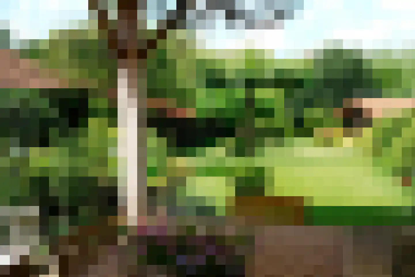 Molenweg 25 Groeningen thumbnail 50