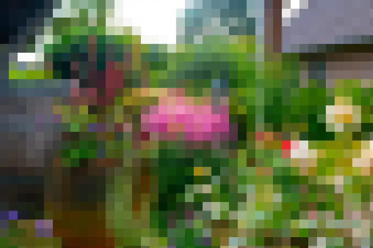 Molenweg 25 Groeningen thumbnail 51