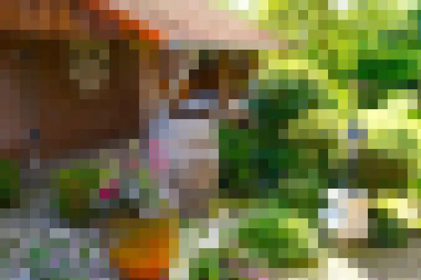 Molenweg 25 Groeningen thumbnail 53