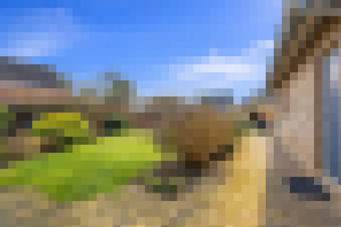 Molenweg 25 Groeningen thumbnail 57