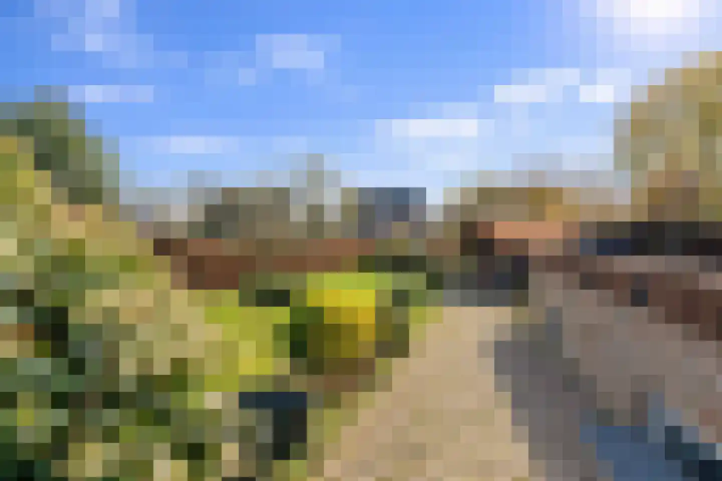 Molenweg 25 Groeningen thumbnail 59