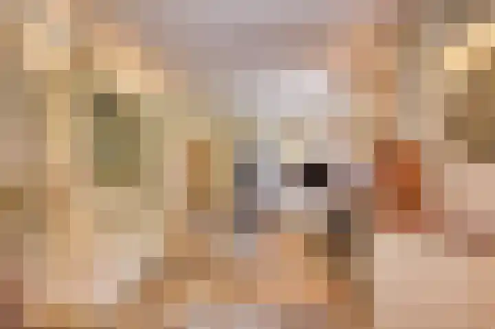 Molenweg 25 Heelweg thumbnail 9