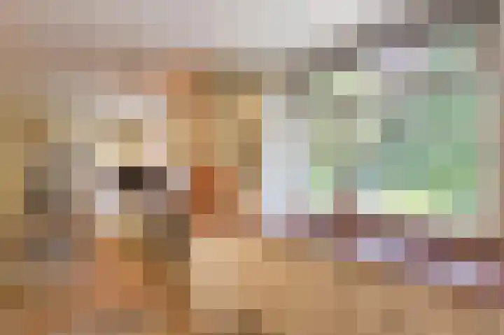 Molenweg 25 Heelweg thumbnail 10