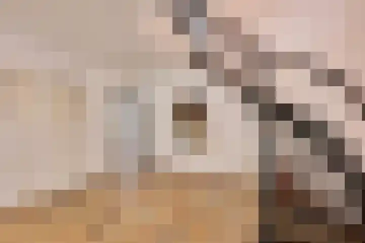 Molenweg 25 Heelweg thumbnail 21