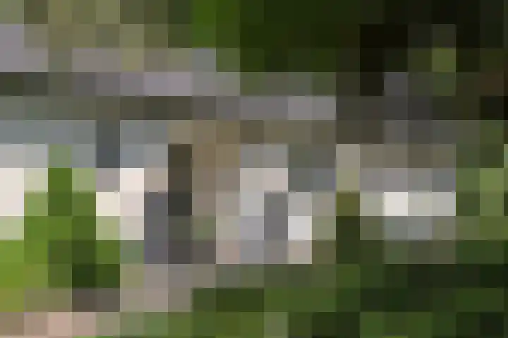Molenweg 25 Heelweg thumbnail 30