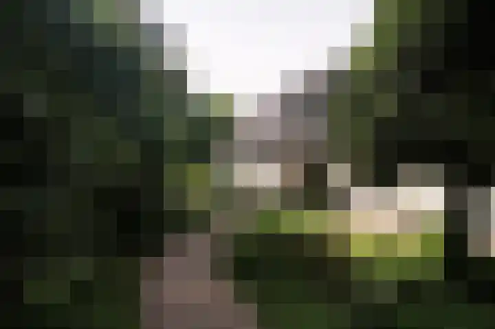 Molenweg 25 Heelweg thumbnail 31