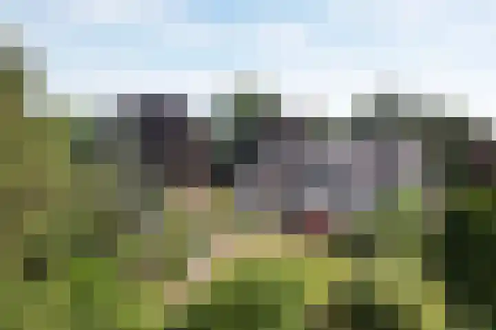Molenweg 25 Heelweg thumbnail 32