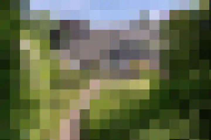 Molenweg 25 Heelweg thumbnail 34