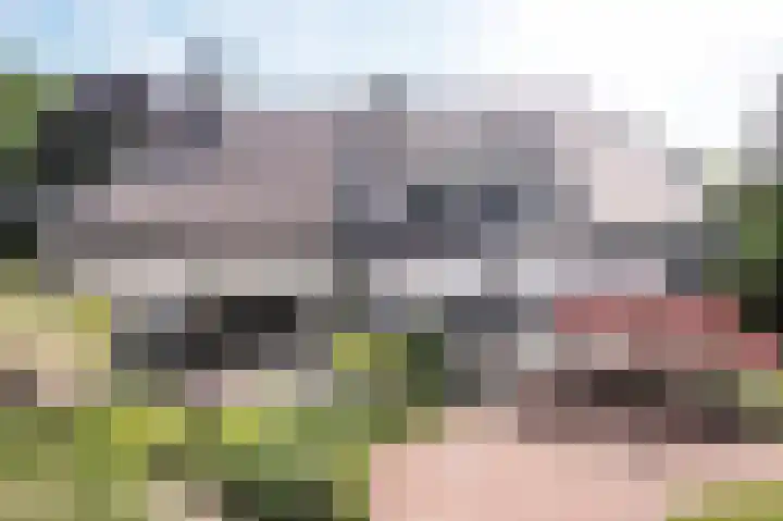 Molenweg 25 Heelweg thumbnail 35