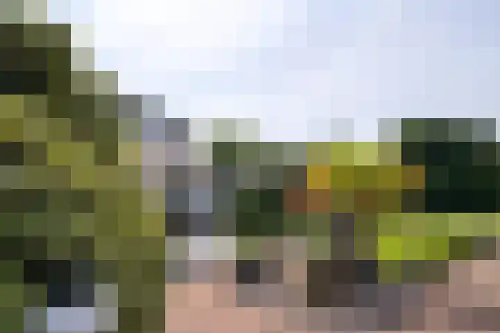 Molenweg 25 Heelweg thumbnail 37