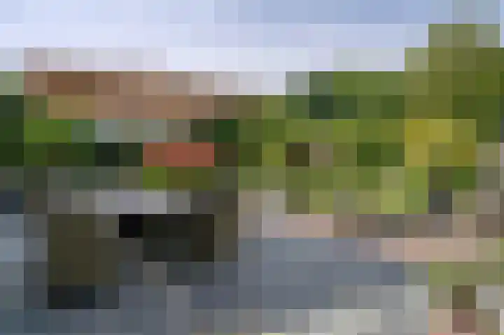 Molenweg 25 Heelweg thumbnail 38