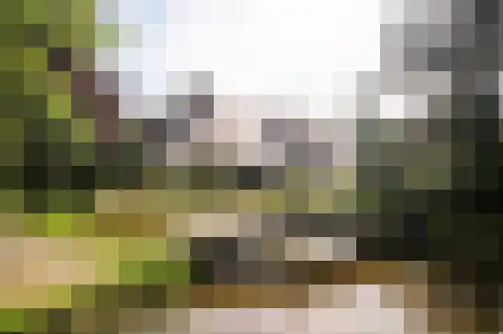 Molenweg 25 Heelweg thumbnail 40