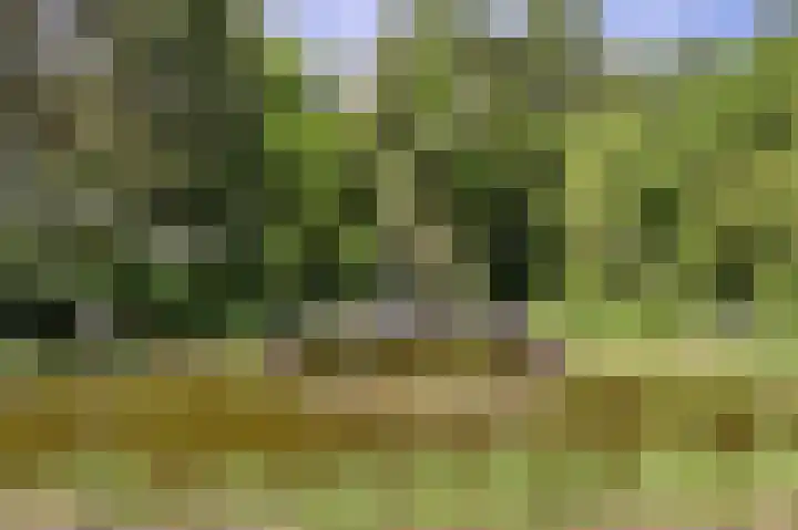 Molenweg 25 Heelweg thumbnail 41