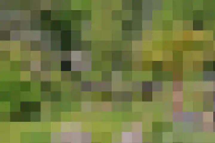 Molenweg 25 Heelweg thumbnail 42