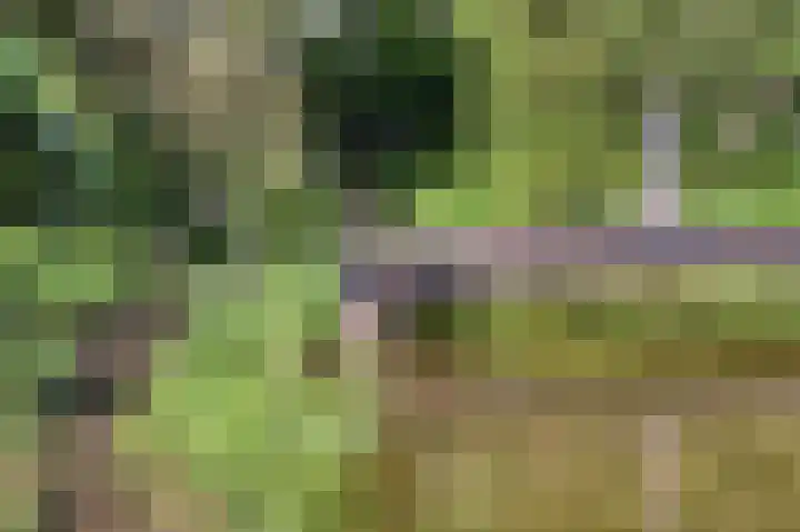 Molenweg 25 Heelweg thumbnail 43