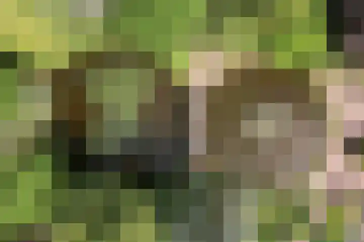 Molenweg 25 Heelweg thumbnail 44