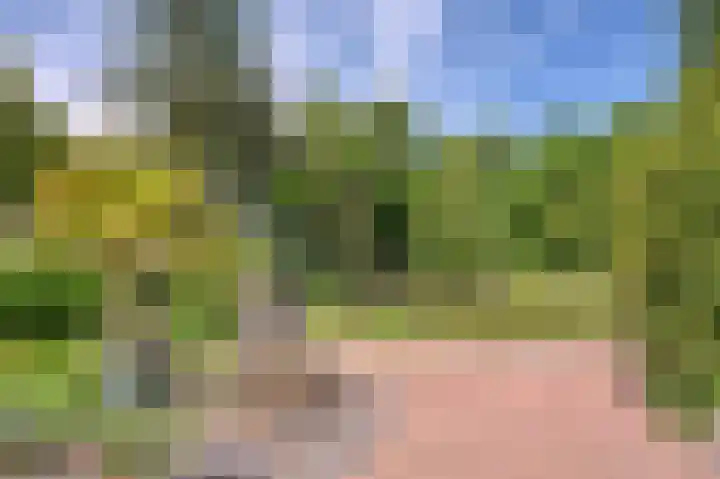 Molenweg 25 Heelweg thumbnail 45