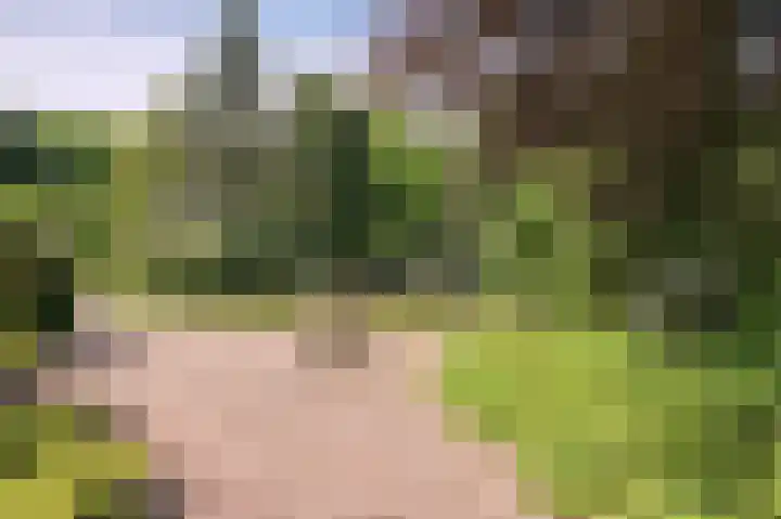 Molenweg 25 Heelweg thumbnail 46