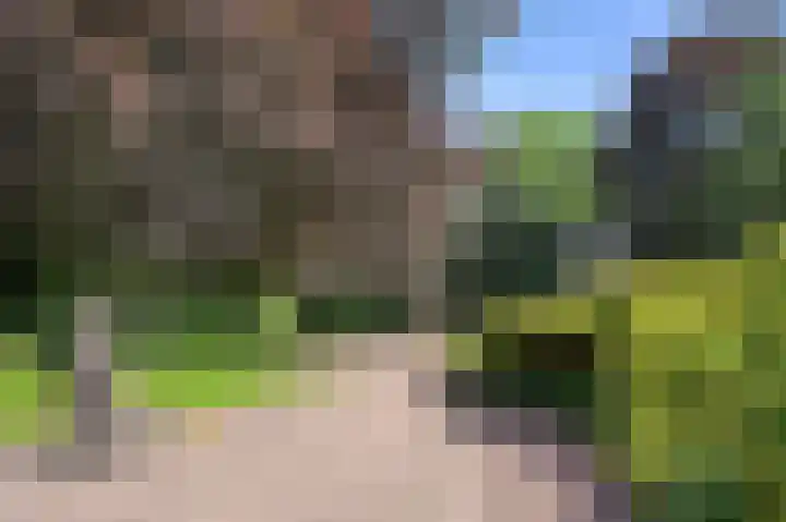 Molenweg 25 Heelweg thumbnail 47
