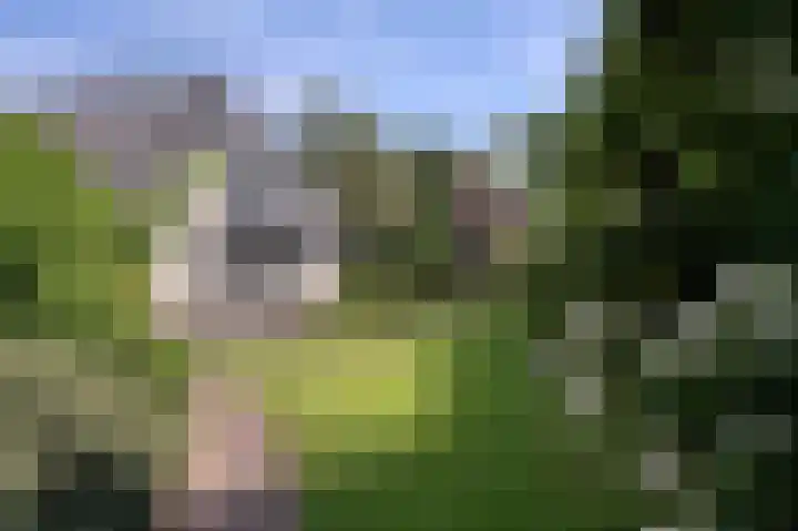 Molenweg 25 Heelweg thumbnail 48
