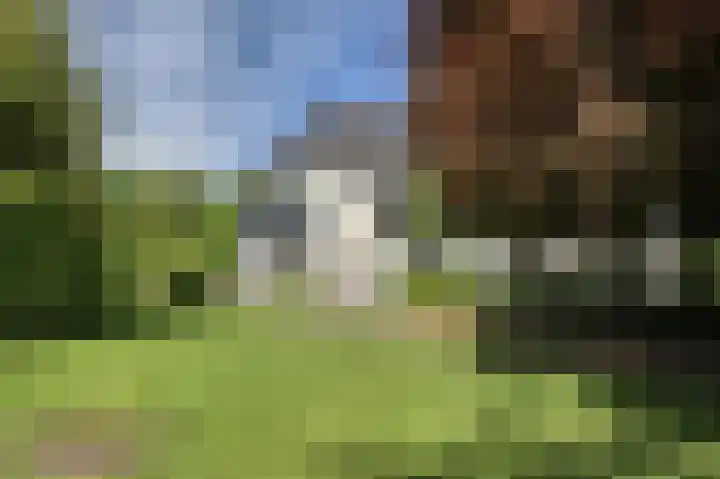 Molenweg 25 Heelweg thumbnail 49